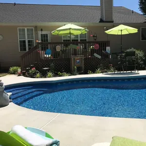 Curved In Ground Pool Ball Ground Backyard