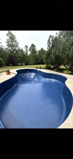 Empty Freeform Inground Pool Ball Ground