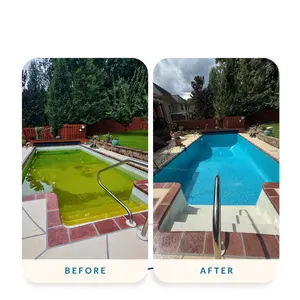 Green Water Pool Cleaning Transformation Ball Ground