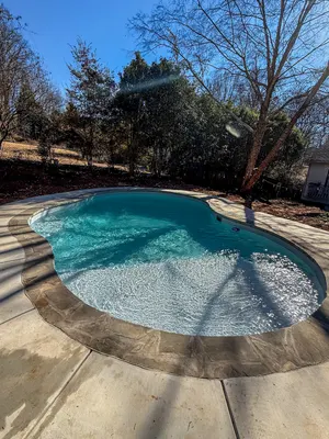 Kidney Shaped Pool Wooded Backyard Ball Ground