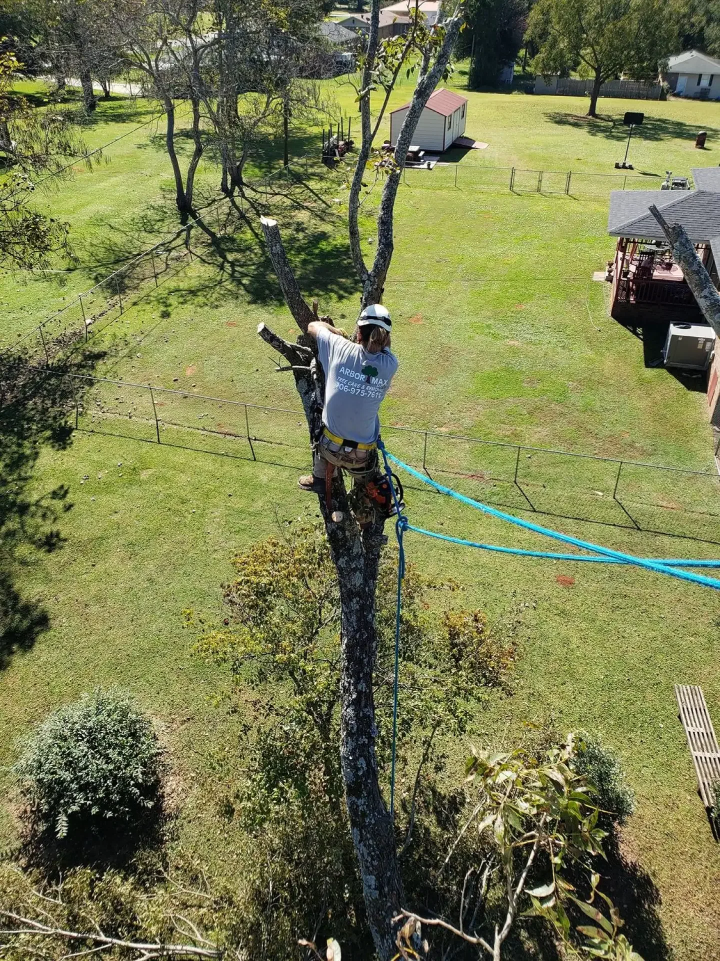 Start Your Project Right With ArborMax