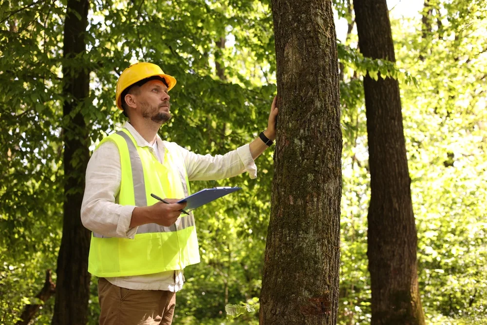 Why Homeowners Across Upson County Choose ArborMax