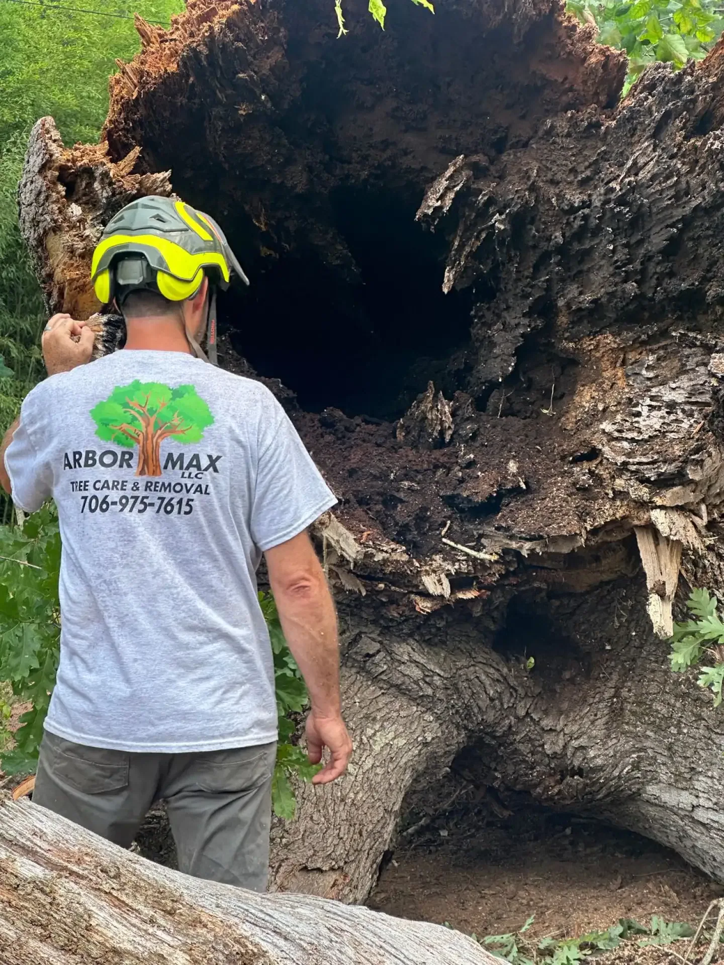Affordable Stump Grinding for Homes and Businesses
