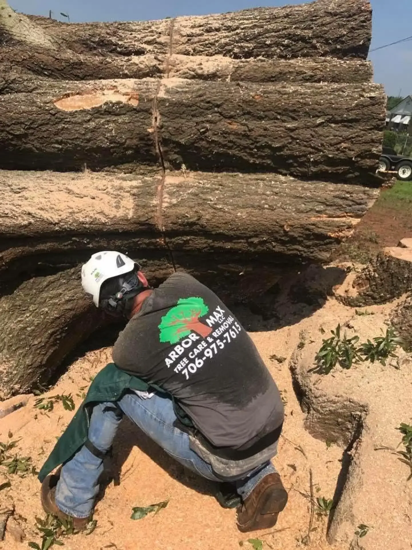 Land Clearing for Homes, Farms, & Commercial Sites