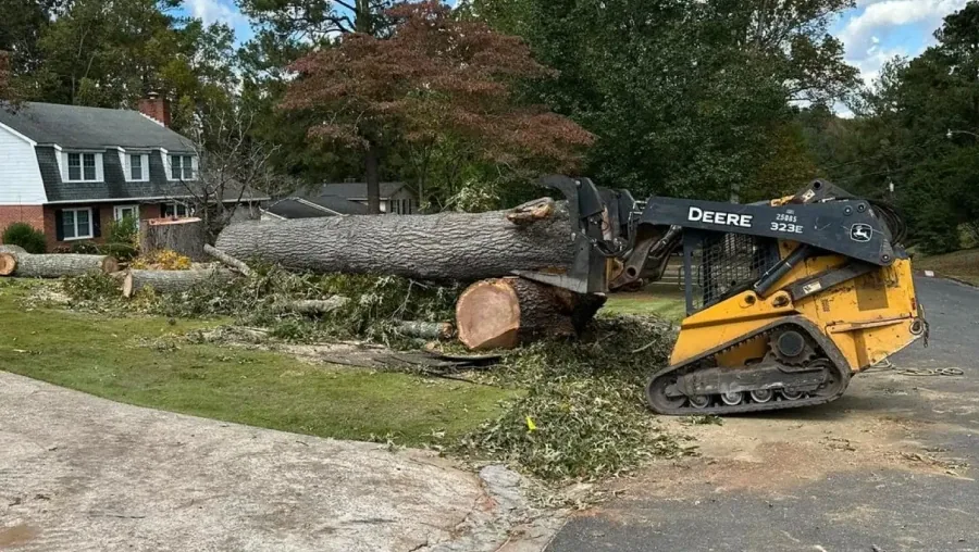 Pair Debris Removal with Our Other Services