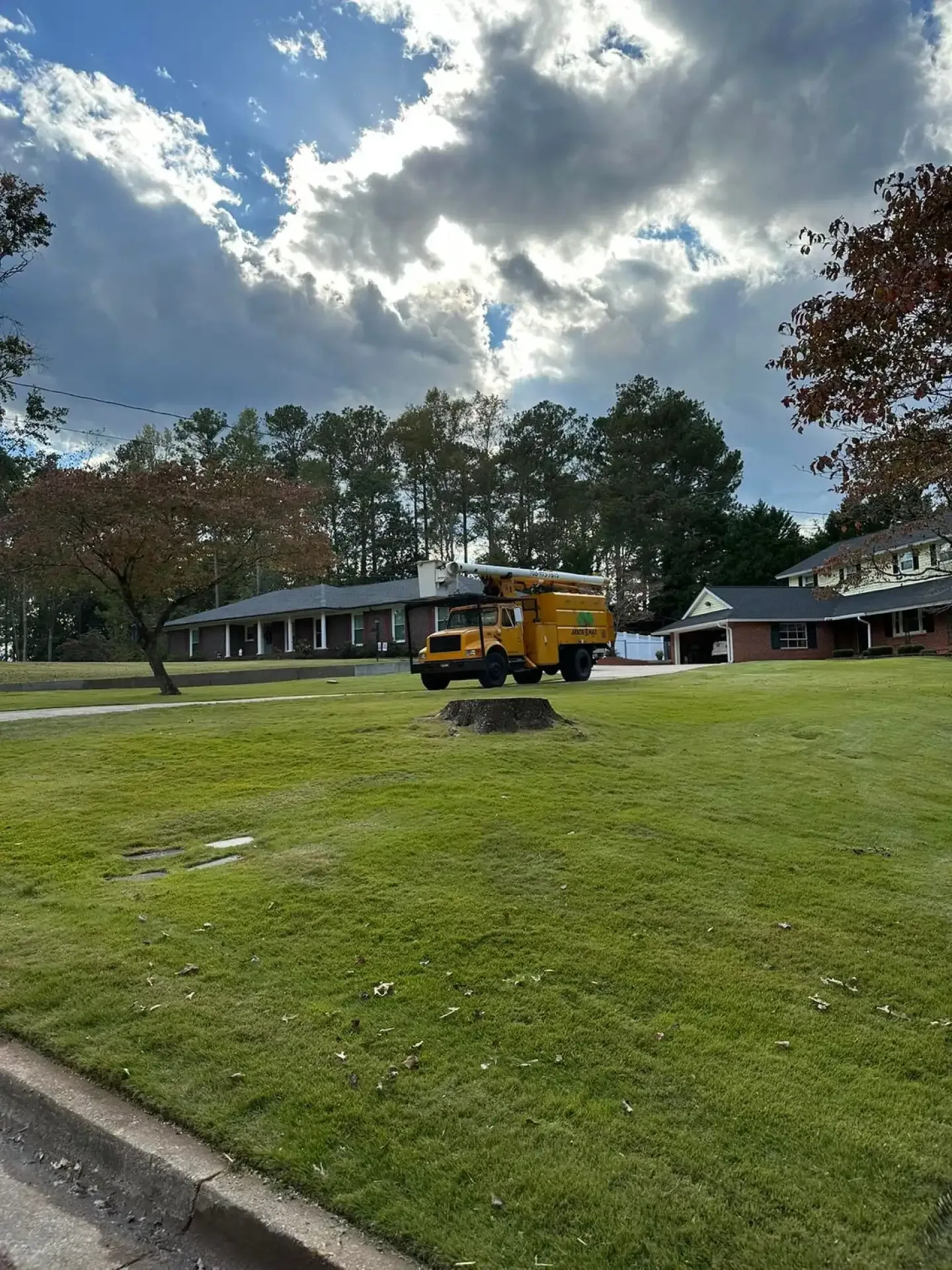 Complete Tree Care Services
