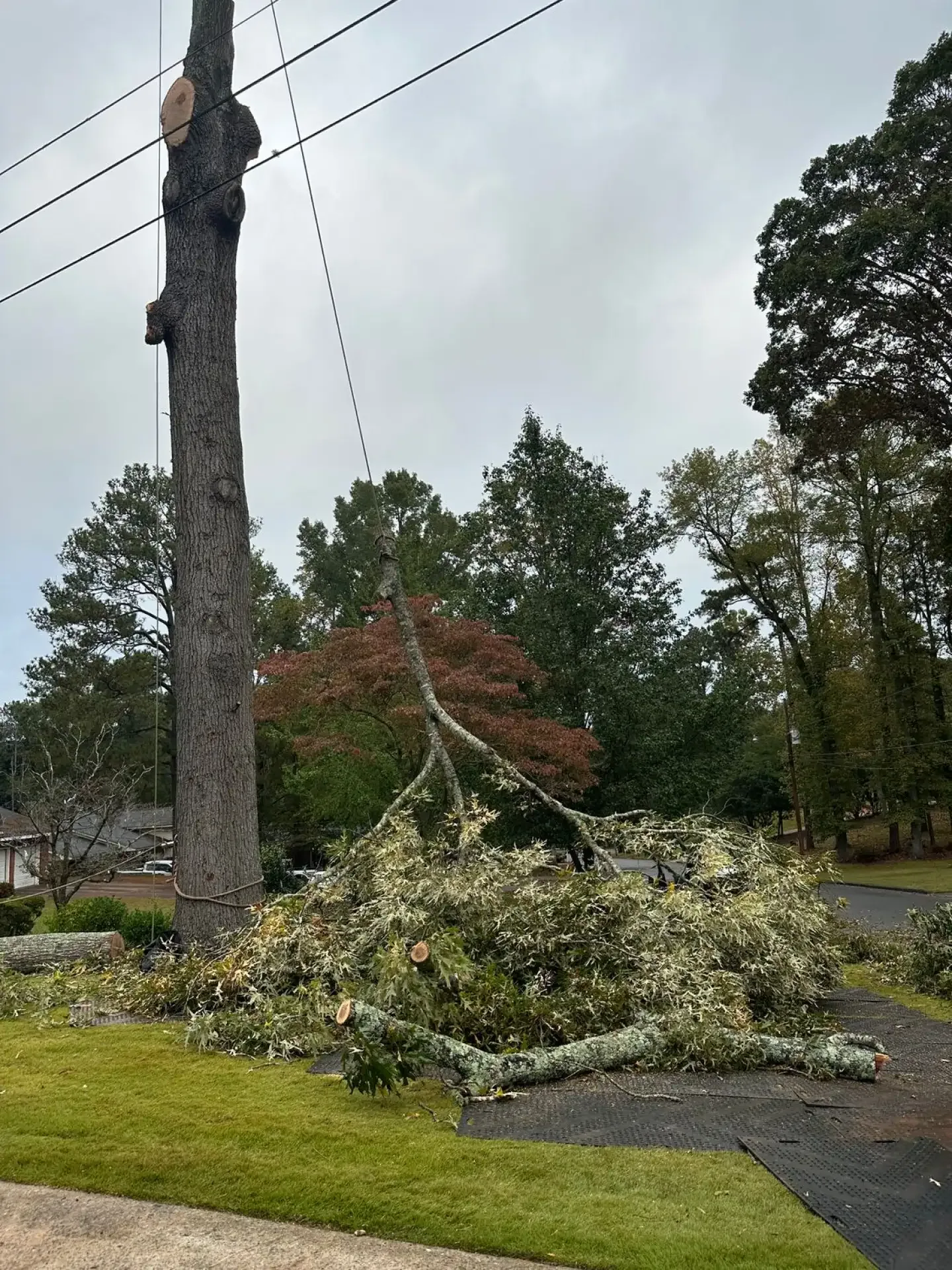 Pair Pruning With Full-Service Tree Care