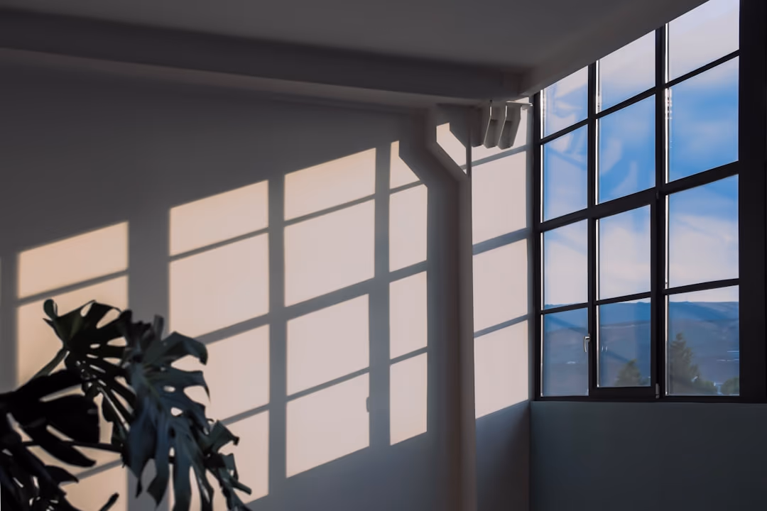 Black Grid Window Shadow Pattern White Wall