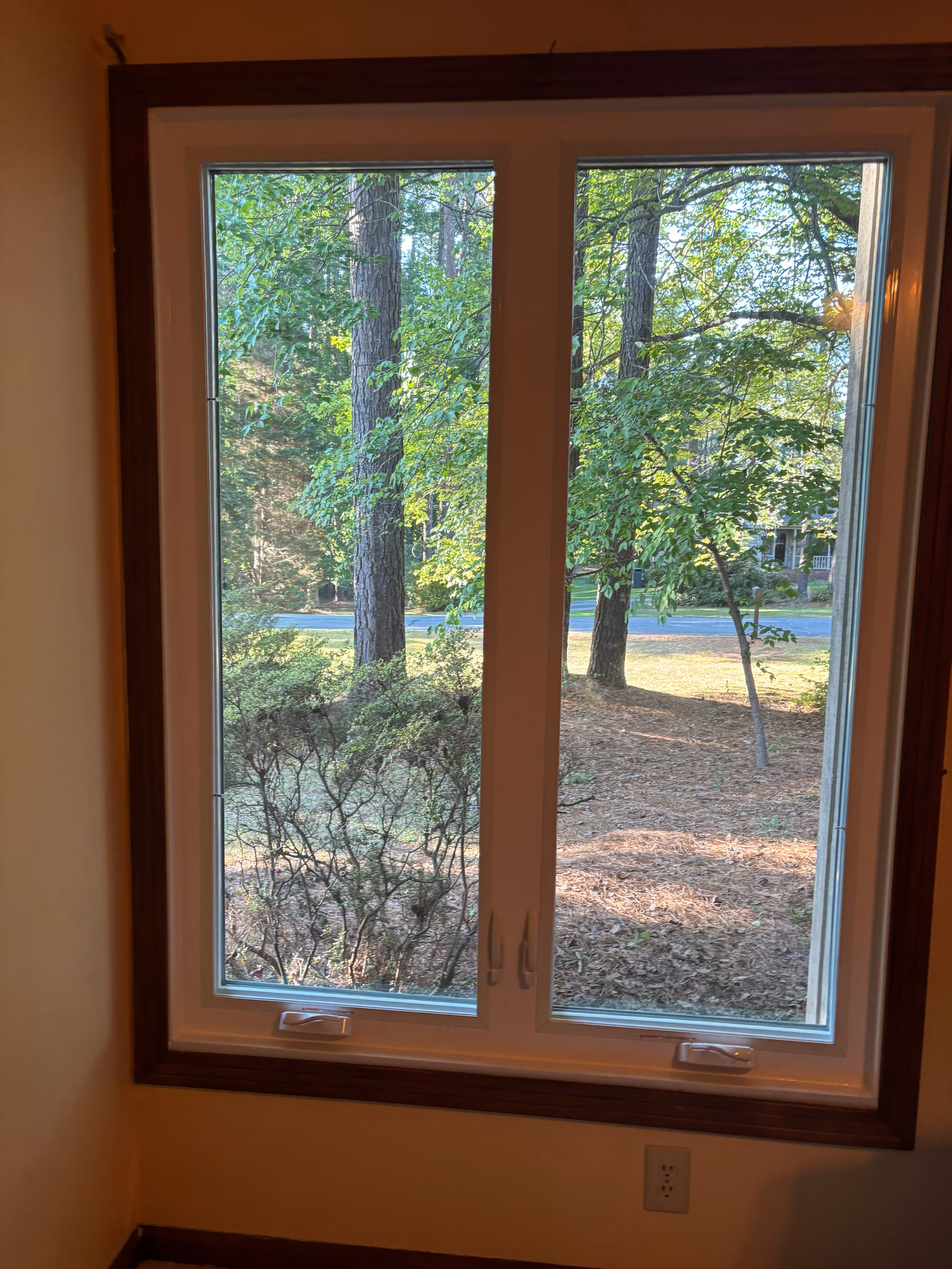 Casement Window Pair Dark Wood Trim