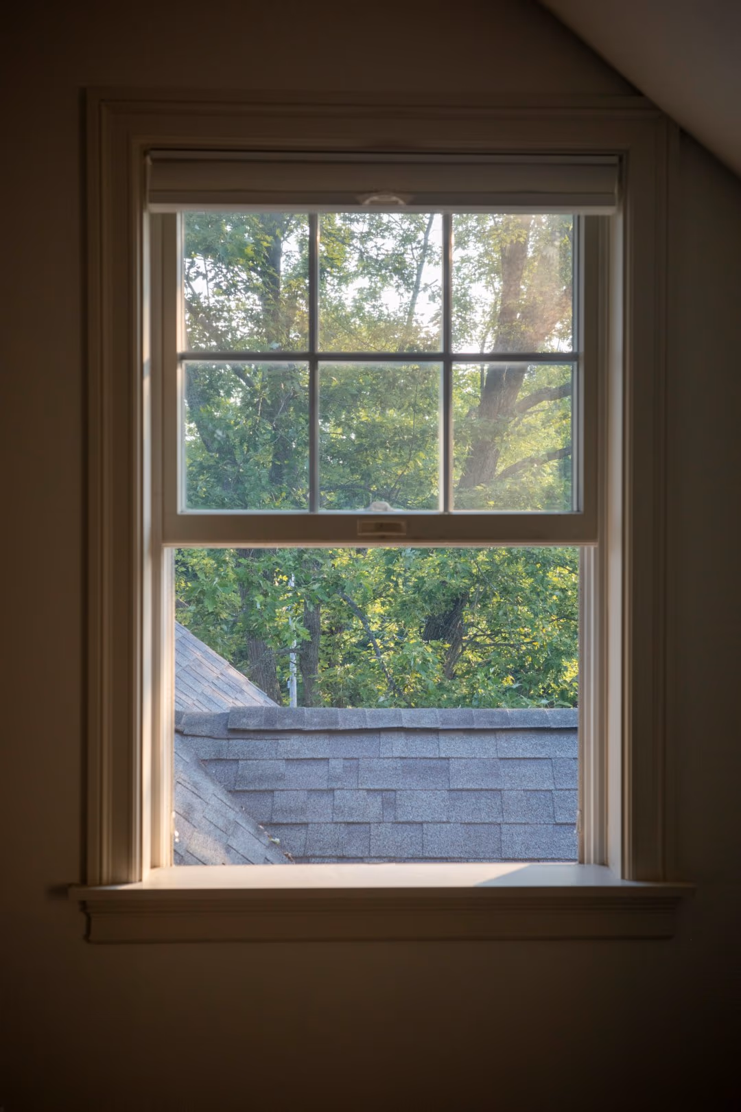 Double Hung Grille Window Rooftop Tree View